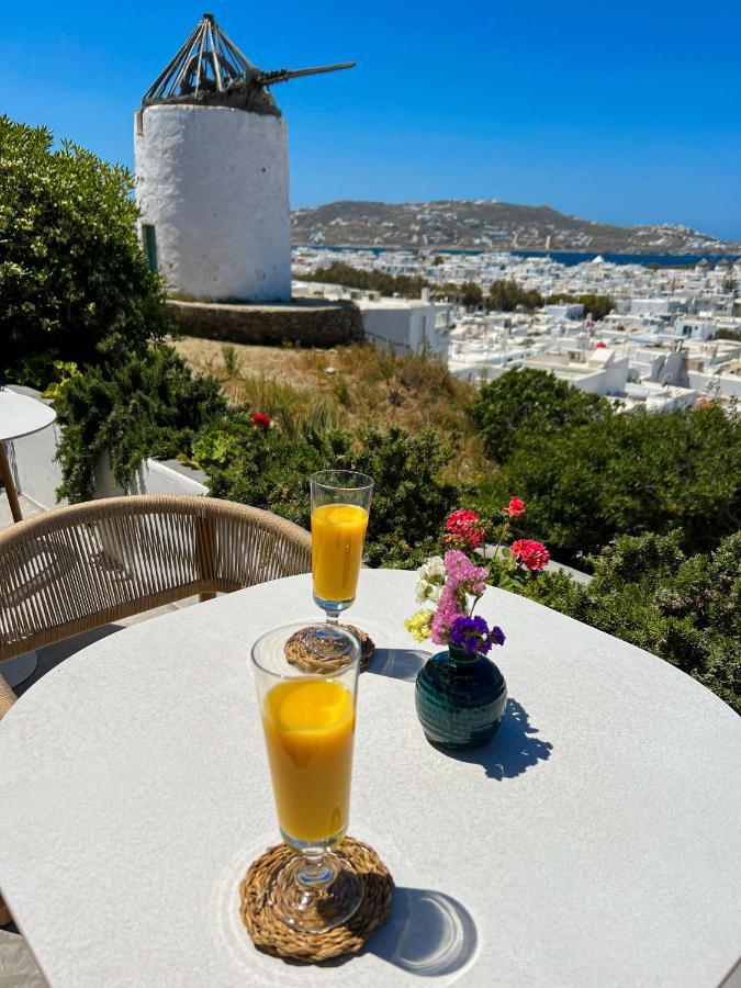 波罗贝德精品酒店 Mykonos Town 外观 照片